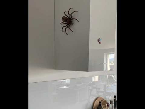 My Favorite LEGO Related Prank