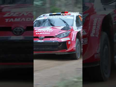Taming the Elements: WRC Portugal Under Changing Skies サムネイル