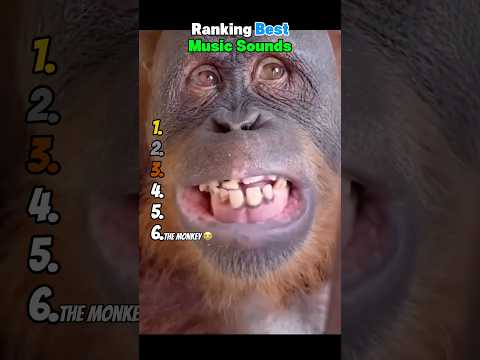 Ranking Best Music Sounds 😂 サムネイル