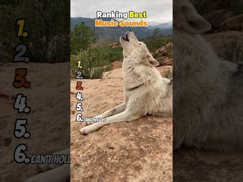 Ranking Best Music Sounds 😂 サムネイル