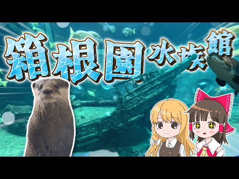 海賊船が沈んだ水族館!?箱根にある箱根園水族館が衝撃的すぎた！霊夢と魔理沙が箱根園水族館に行くよ【ゆっくり実況解説】【… サムネイル