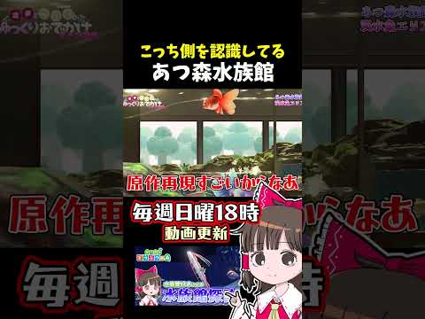 こっち側を認識してる サムネイル