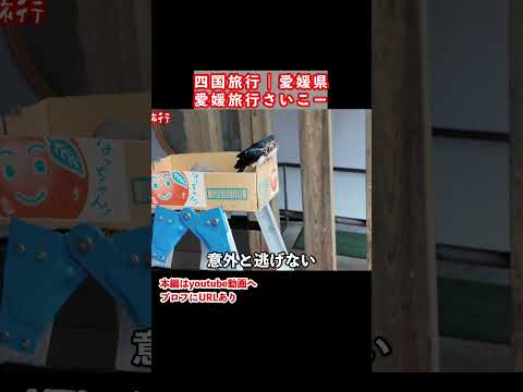 愛媛県ドライブ旅の思い出 サムネイル