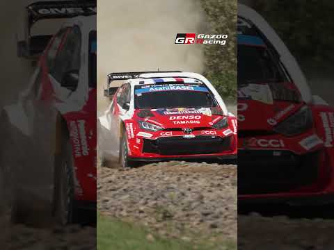 Cutting the Savannah: Sharp Turns at Full Tilt in SS7