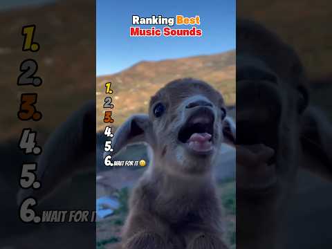 Ranking Best Music Sounds 😂 サムネイル
