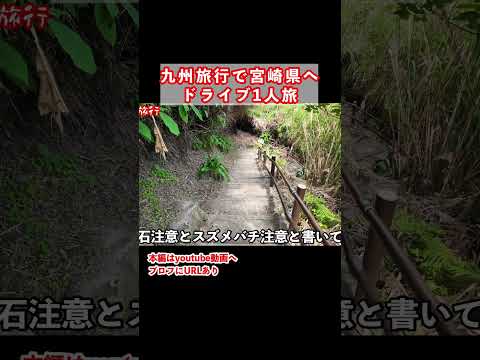 宮崎旅行で道の駅フェニックスの近くに謎の道を発見 サムネイル