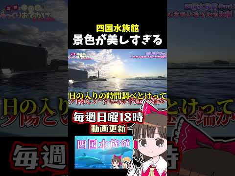 四国水族館が美しすぎる サムネイル