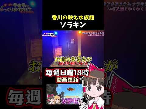 天空のアクアリウム“ソラキン”