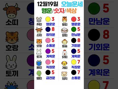 띠별 오늘의 운세 12월 19일! 🔮 당신의 행운 색깔과 숫자는? | 운세 대공개 ✨ 오늘의운세 띠별운세… サムネイル