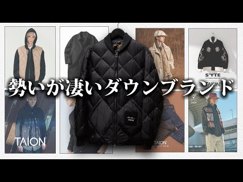 【圧倒的コスパ】勢いのあるダウンメーカーTAIONを全力で解説する！【ゆっくり解説】【ファッション】
