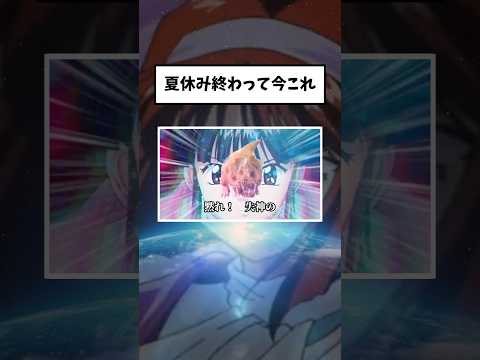 【悲報】最近のミームが“わけわからない”理由は?話題の違和感を徹底解説【最新】