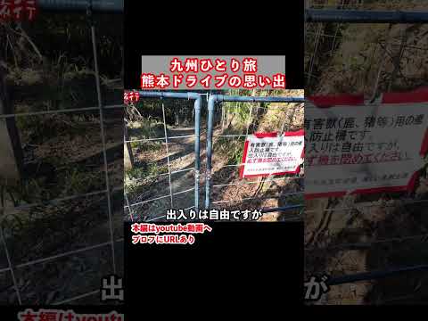九州旅行で熊本県ドライブ観光 ひとり旅 旅行vlog 九州旅行