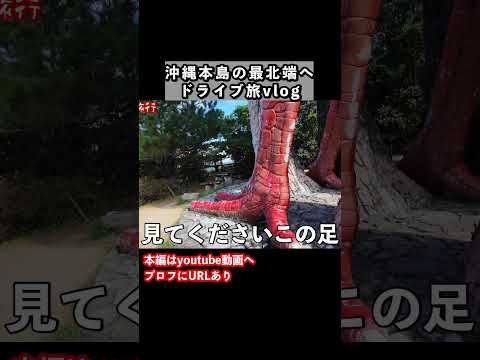 沖縄本島の最北端「国頭村」をドライブ旅しました  沖縄旅行 沖縄観光