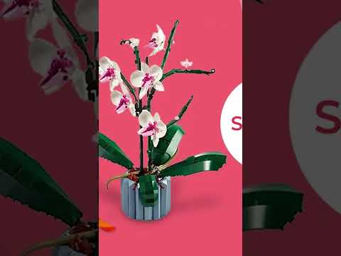 Rare LEGO Amazon Deals That Are Actually Kinda Insane...