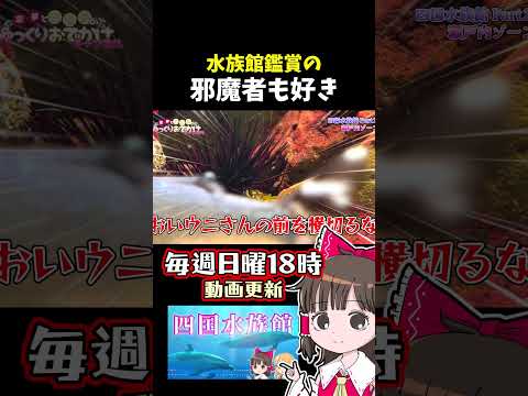 血祭り サムネイル