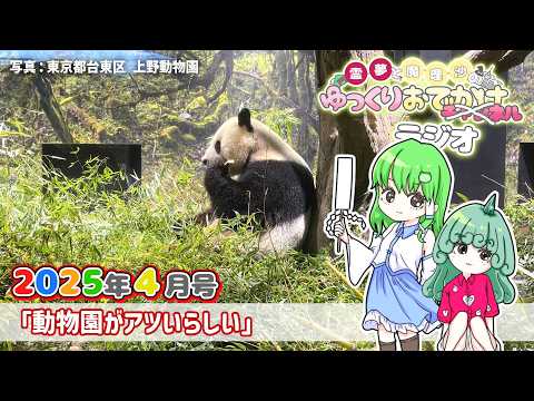 れいまりおでかけラジオ2026年4月号「動物園がアツいらしい」他【作業用】【睡眠用】【霊夢と魔理沙のゆっくりおでかけラ…