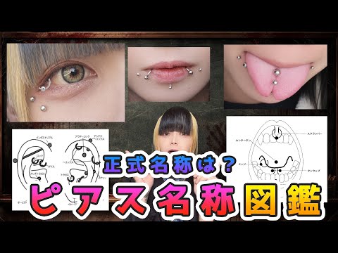 【授業】全身のいろんなピアスの名称図鑑！ サムネイル