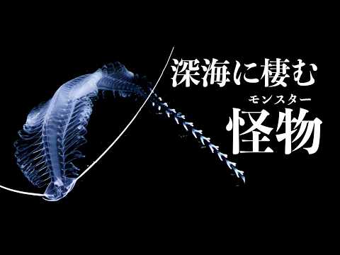 実在する深海モンスター10選