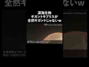 全然ギガントじゃない深海生物  #深海 #生態解説 #雑学トレンドとはgoogle/twitter