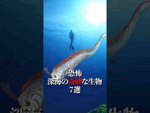 深海の奇妙な生物7選 #深海生物 #深海  #雑学トレンドとはgoogle/twitter