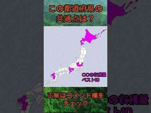 この都道府県の共通点は？cq040 #Shorts #都道府県 #クイズ #47都道府県日常的ランキング-地理-