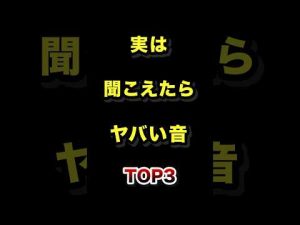 耳に危険な音ベスト3 | 日常で注意すべきポイントを解説 – 秘密の花園search