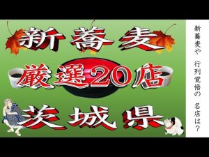 茨城県の新そばおすすめ20店｜秋の味覚を楽しむガイド2025 – 秘密の花園search